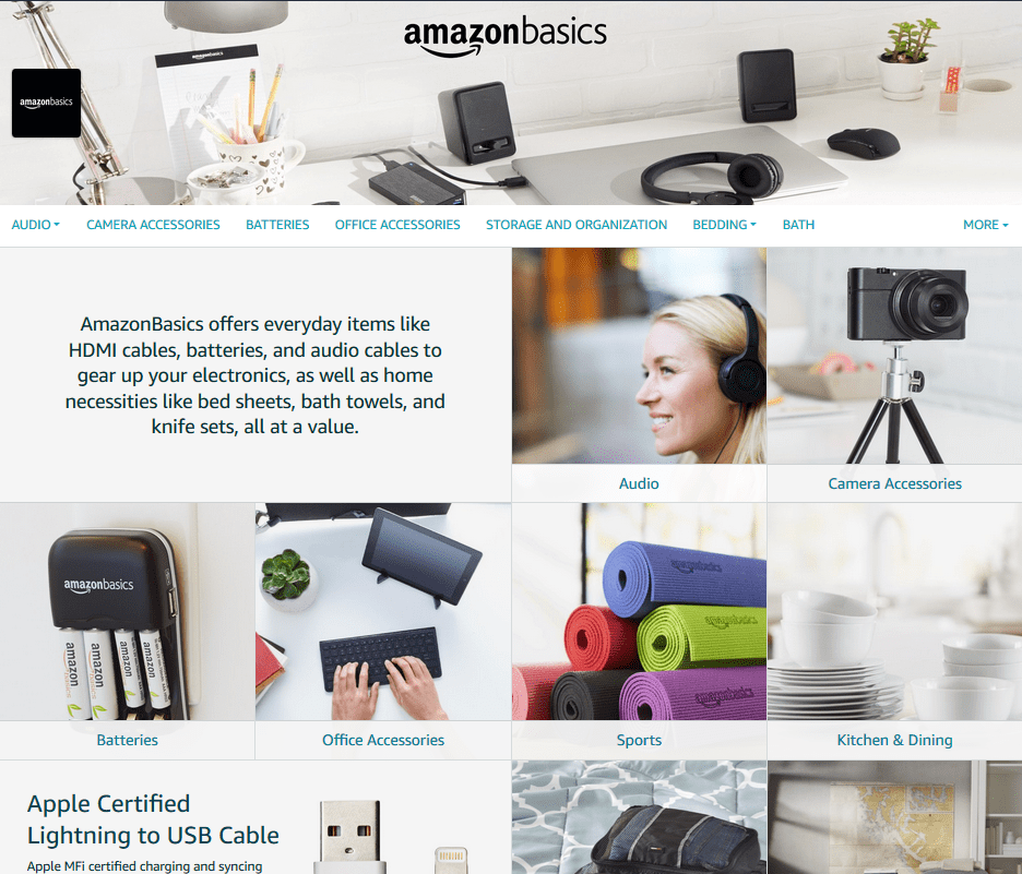 Amazon brand store