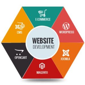 Web Development Company in India 