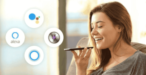 Voice Search Engine Optimization 