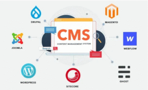 Website development agency in varanasi
